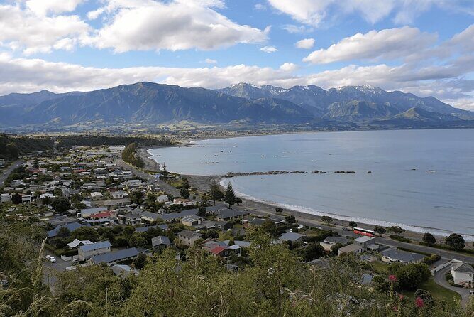 Full Day Kaikoura Tour Whale Watching Seals and Scenic Coast - Final Thoughts