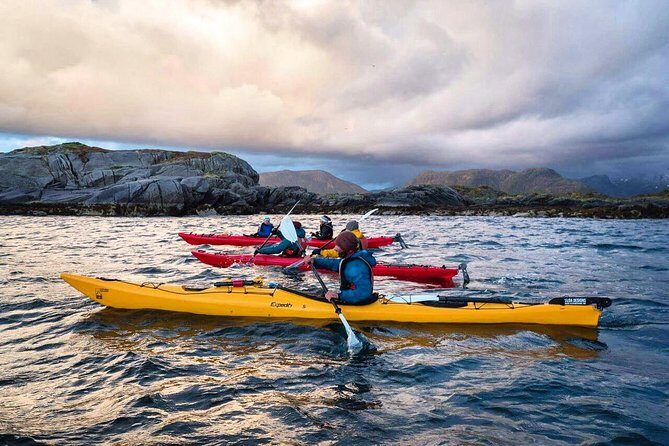 Full Day Kayak-Northern Explorer - Why This Tour Is a Great Value