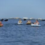 Full Day Kayak or SUP Rental (8hr) - Pelican Bay - Why We Think This Experience Is Worth It