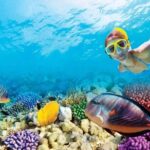 Full-Day Key West Tour and Coral Reef Snorkeling with Open Bar - What Sets This Tour Apart