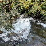 Full day Krka national park tour - What the Reviews Say