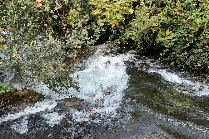 Full day Krka national park tour - What the Reviews Say
