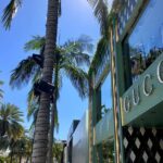 Full-Day LA Iconic Sites Tour From Hollywood with Six Stops - What We Think: Value and Experience