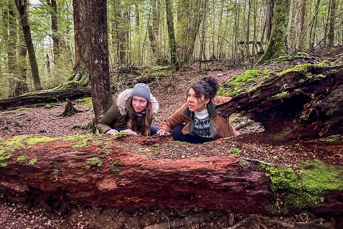 Full Day Lord of the Rings Mavora Lakes Adventure! - A Deep Dive into the Lord of the Rings Mavora Lakes Adventure
