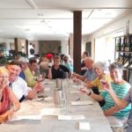 Full-Day Marlborough Catamaran Cruise with Wine Tour and Lunch - Final Thoughts