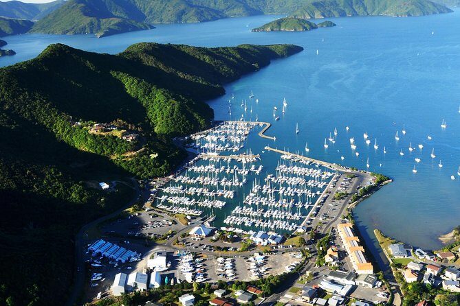 Full-Day Marlborough Scenic and Wine Tour from Blenheim