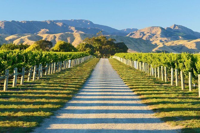 Full-Day Marlborough Wine Tour Including Wine Tasting - The Experience in Detail