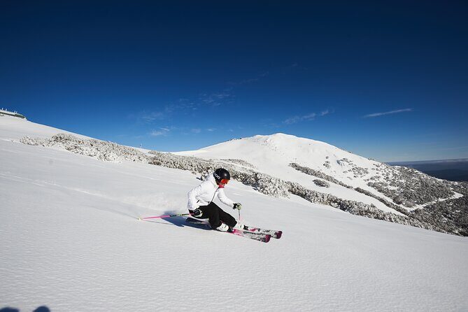 Full-Day Mount Buller Tour - Authentic Experiences and Honest Feedback