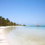 Full Day Nature Expedition to Contoy Island and Isla Mujeres - The Value and Practicalities
