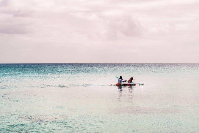 Full Day Pele Island Beach and Snorkeling Guided Tour - A Deep Dive into the Pele Island Tour Experience