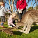 Full-Day Phillip Island Tour with Kangaroo, Koala and Penguin Parade - Frequently Asked Questions