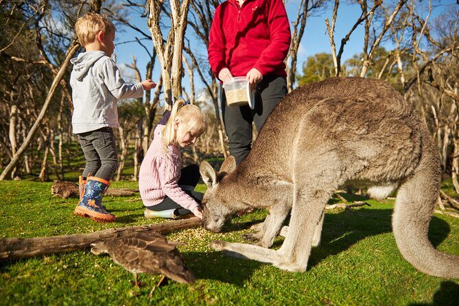 Full-Day Phillip Island Tour with Kangaroo, Koala and Penguin Parade - Frequently Asked Questions