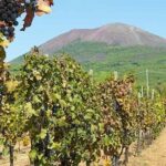 Full-Day Pompeii - Vesuvius - Winery Lunch Experience Private Tour - Who Should Consider This Tour?