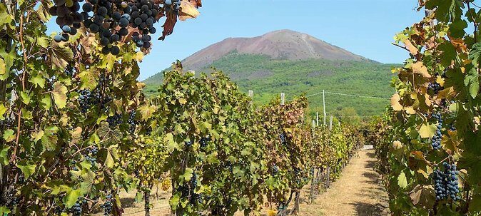 Full-Day Pompeii - Vesuvius - Winery Lunch Experience Private Tour - Who Should Consider This Tour?