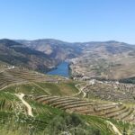 Full-Day Porto and Douro Valley Private Wine Tour with Lunch - Exploring the Douro Valley: What You Can Expect