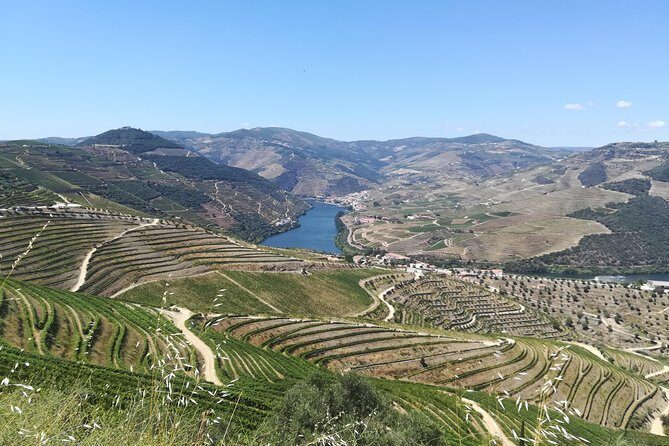 Full-Day Porto and Douro Valley Private Wine Tour with Lunch - Exploring the Douro Valley: What You Can Expect