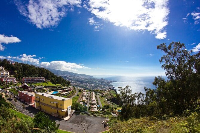 Full-Day Porto Moniz Madeira Island Tour - Analyzing the Experience: What Travelers Say
