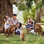 Full-Day Private Australian Wildlife Tour of Phillip Island - What’s Included and What’s Not