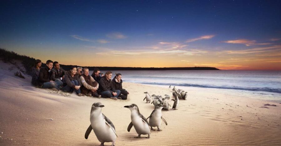 Full-Day Private Australian Wildlife Tour of Phillip Island - A Closer Look at the Phillip Island Wildlife Adventure