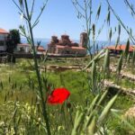 Full-Day Private Best of Ohrid and Lake Ohrid Tour - Transport and Comfort