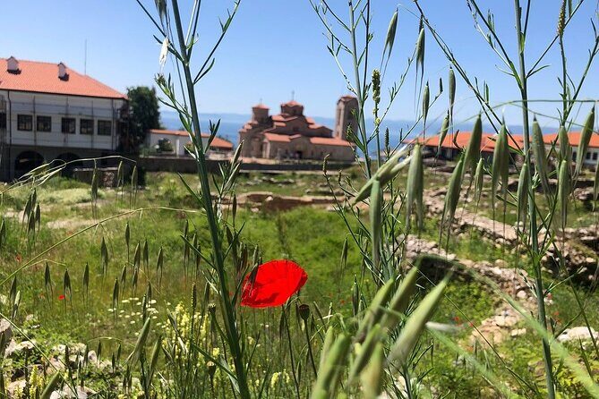 Full-Day Private Best of Ohrid and Lake Ohrid Tour - Transport and Comfort
