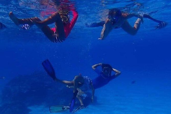 Full-Day Private Boat Tour of Bora Bora Lagoon with Snorkel - The Sum Up: Who Will Truly Benefit?