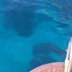 Full Day Private Boat Tour of Capri - Who Is This Tour Best Suited For?