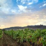 Full-Day Private Cultural Tour in Evora and Monsaraz - FAQs