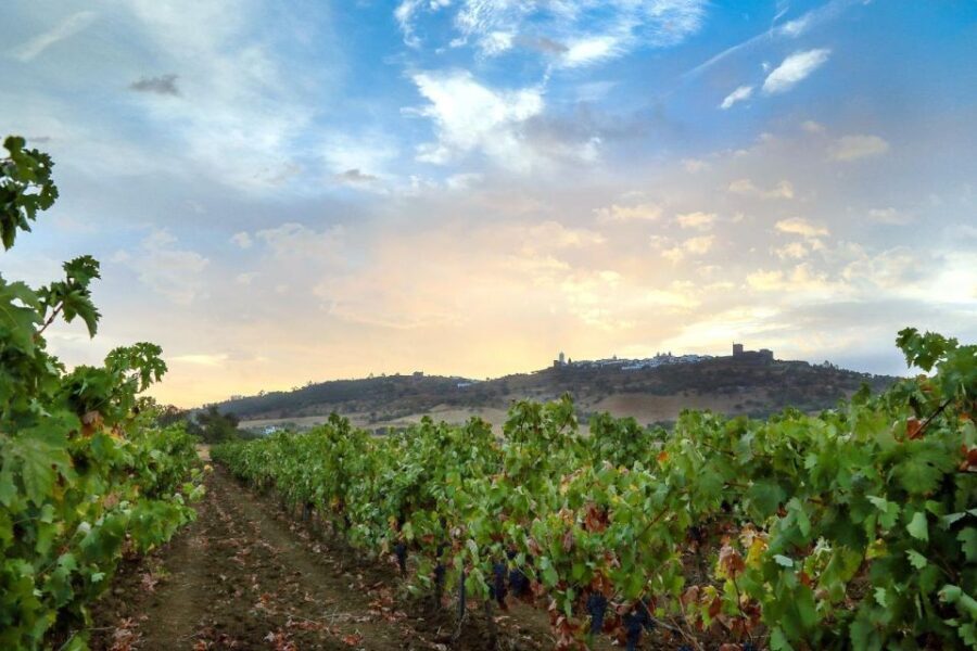 Full-Day Private Cultural Tour in Evora and Monsaraz - FAQs