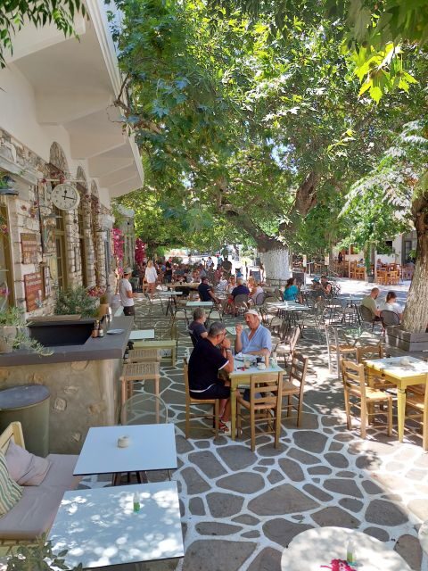 Full-Day Private food tour in Naxos local Villages - The Sum Up