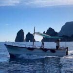 Full Day Private Guided Boat Tour of the Capri Coast - What’s Included and What’s Not