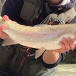 Full Day Private Guided Fishing Charter along the Isonzo Front - FAQ