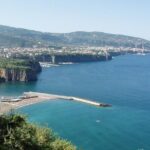Full-Day Private Guided Tour to Positano and Sorrento and Pompeii from Naples - The Sum Up