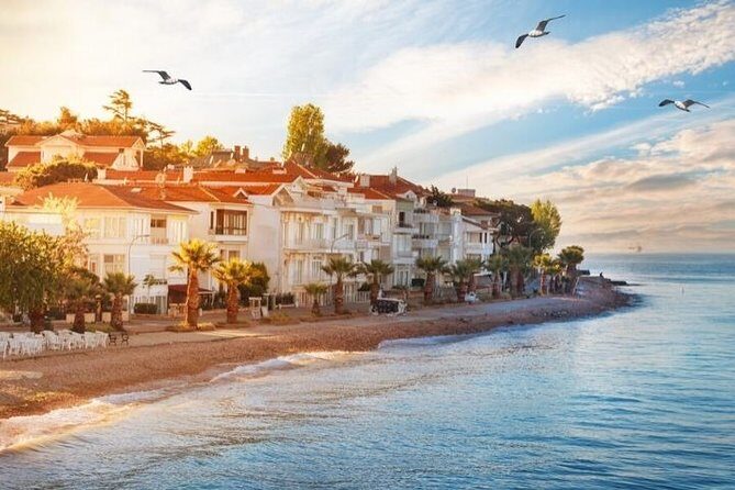 Full Day Private Luxury Yacht Cruise to Princes' Island and / or Bosphorus - Exploring Istanbul from the Water: An Honest Look