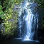 Full Day Private Maui Waterfall, Beach & Hana Tour - The Experience from a Traveler’s Perspective