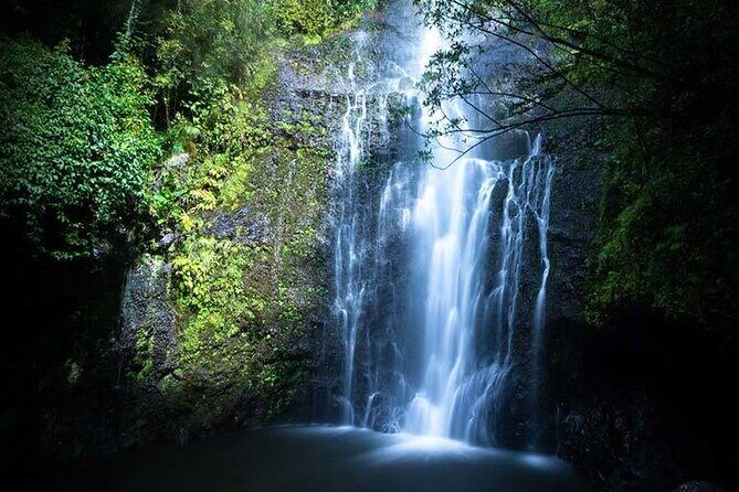 Full Day Private Maui Waterfall, Beach & Hana Tour - The Experience from a Traveler’s Perspective