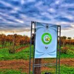 Full day Private Prosecco Tour, with certified Sommelier - Final Thoughts