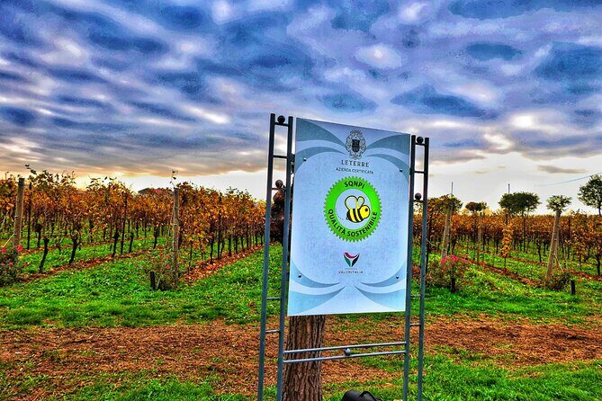 Full day Private Prosecco Tour, with certified Sommelier - Final Thoughts
