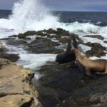 Full Day Private SD Tour from Leucadia - The Experience: What Travelers Say