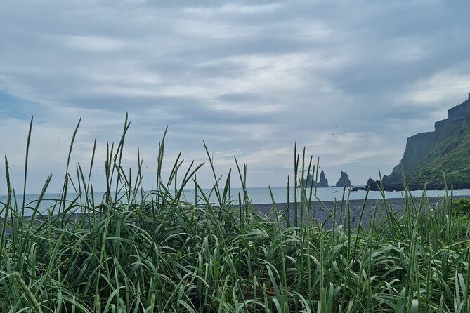 Full-Day Private South Coast Tour from Reykjavik port - FAQ