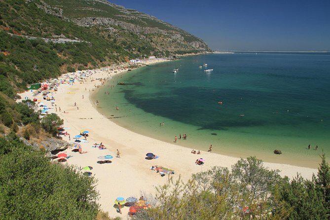 Full Day Private Tour - Arrábida Beaches and Azeitão Wine Region - Final Thoughts