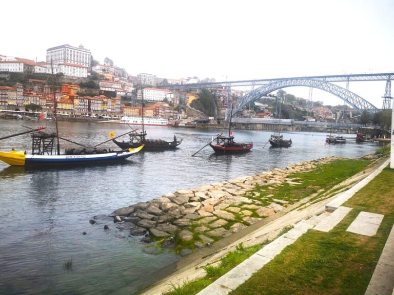 Full Day Private Tour from Lisbon to Porto - An In-Depth Look at the Tour Experience