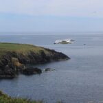 Full day Private Tour from Waterford - Key Points