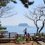 Full-Day Private Tour in Jeju Island - Final Thoughts: Who Will Love This Tour?