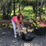 Full Day Private Tour in Pompeii, Vesuvio and Sorrento - In-Depth Exploration of the Experience