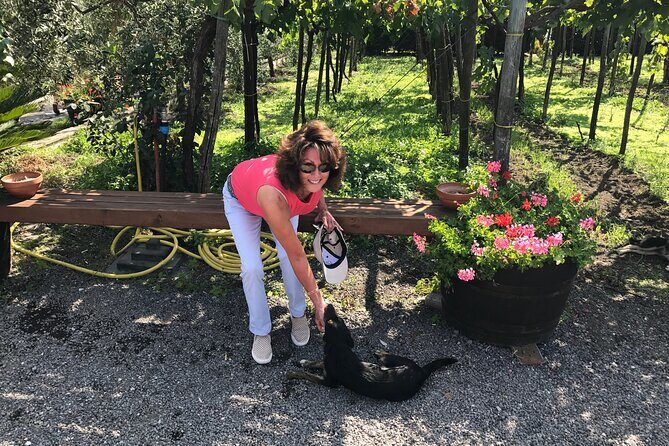 Full Day Private Tour in Pompeii, Vesuvio and Sorrento - In-Depth Exploration of the Experience
