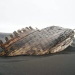 Full-Day Private Tour in Thorsmork - An Authentic Experience with a Personal Touch