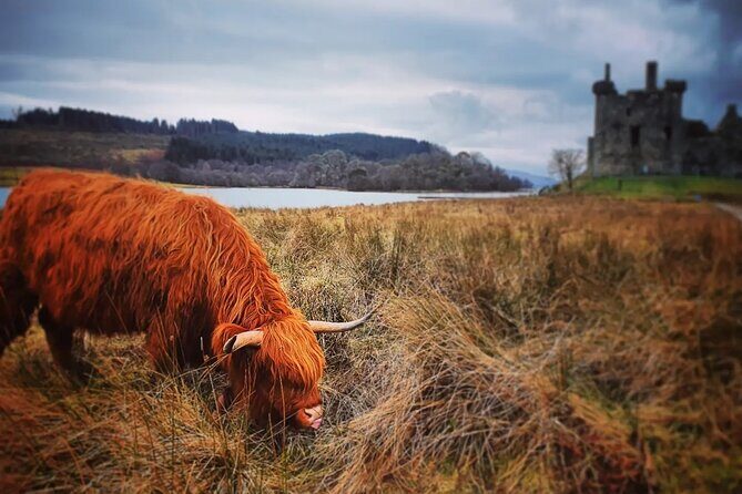 Full Day Private Tour in West Highlands, Oban and Glencoe - The Practicalities: What to Expect