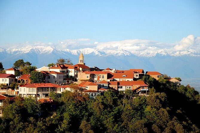 Full-Day Private Tour of Kakheti Region with Pick Up - Practical Details and Value