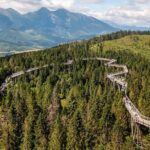Full-Day Private Tour of Slovakia Treetop Walk and Zakopane - An In-Depth Look at the Experience